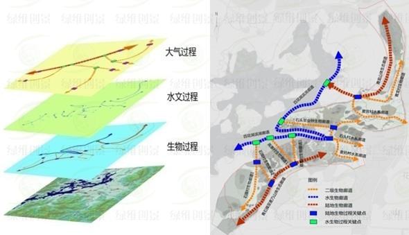 廊道疊加分析及生態廊道格局圖